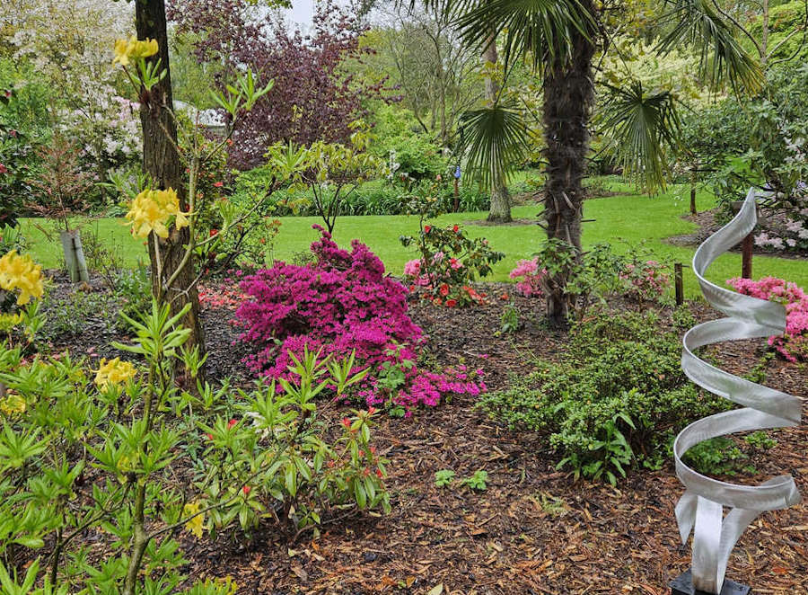 Spring flowers at Bluebell Arboretum and Nursery